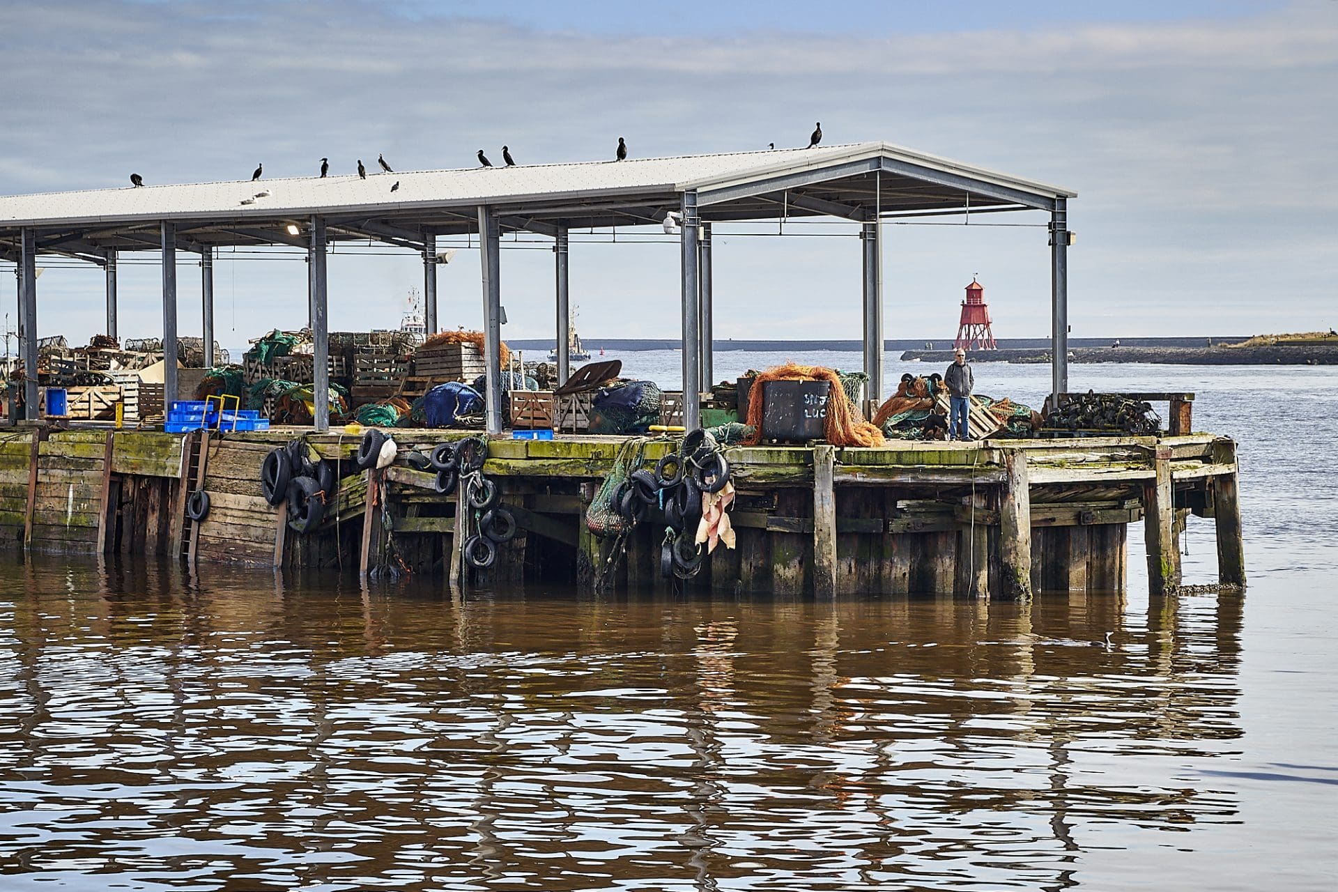 April Fish Quay, North Shields by Alan Clark Tyne Rivers Trust