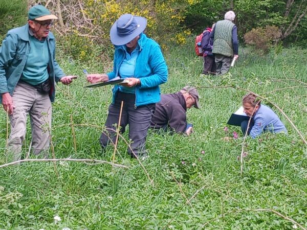 Group of volunteers monitoring grassland