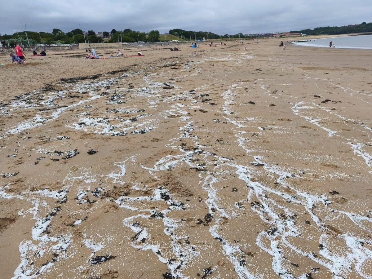 Image of plastic nurdles on North East beach after spillage in River Tyne - image credit FIDRA
