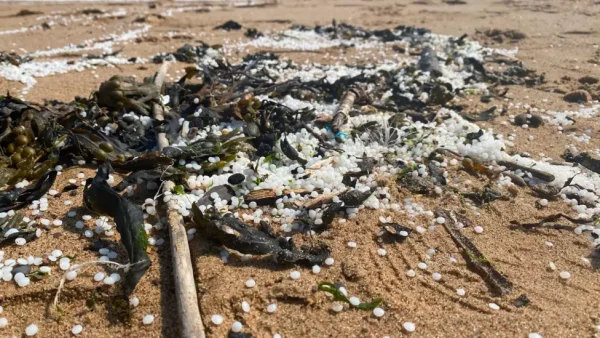 Picture of plastic nurdles on North East beach after spillage in River Tyne - image credit FIDRA