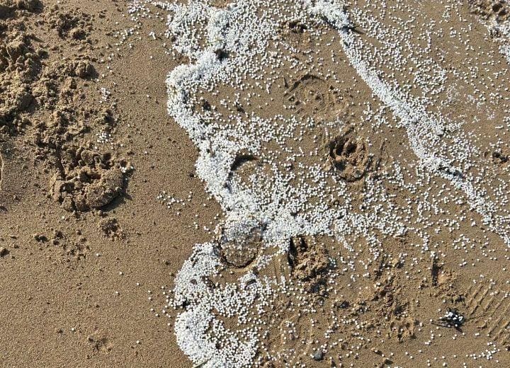 Image of plastic nurdles on North East beach after spillage in River Tyne - image credit South Tyneside Council