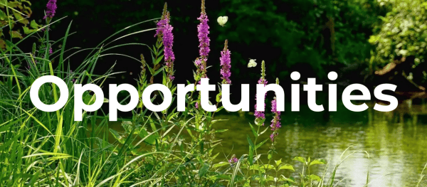 Opportunities to work with Tyne Rivers Trust
